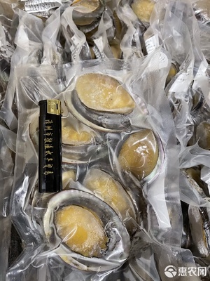 鮮凍鮑魚 社區團購與電商平臺的新爆款